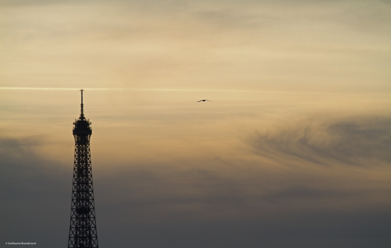 Paris, Tour Eiffel Coucher Février 2014